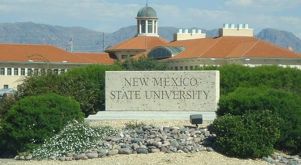 A granite sign with the words "New Mexico State University" surrounded by bushes